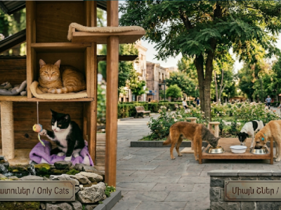 Let’s feed the stray animals / Կերակրե՛նք թափառող կենդանիներին