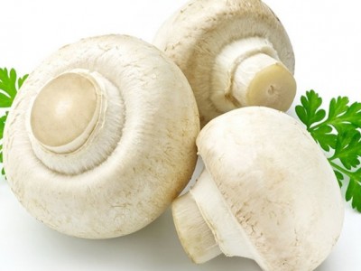 Miracle champignons