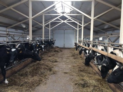 Farm
