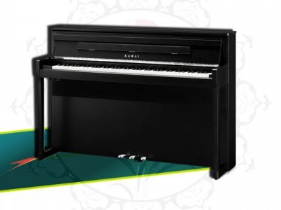 My dream is to have a digital piano | Իմ երազանքն է ունենալ թվային դաշնամուր