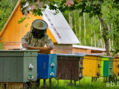 ՄԵՂՎԱԲՈՒԾՈՒԹՅՈՒՆ(Beekeeping)