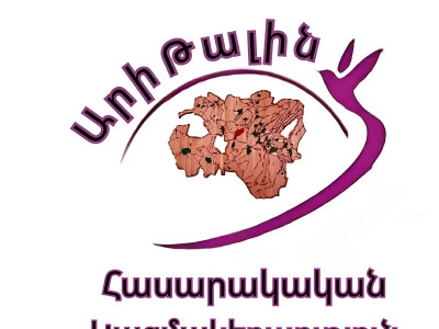 Ari Talin Tourism, Media and Youth Development  Organization